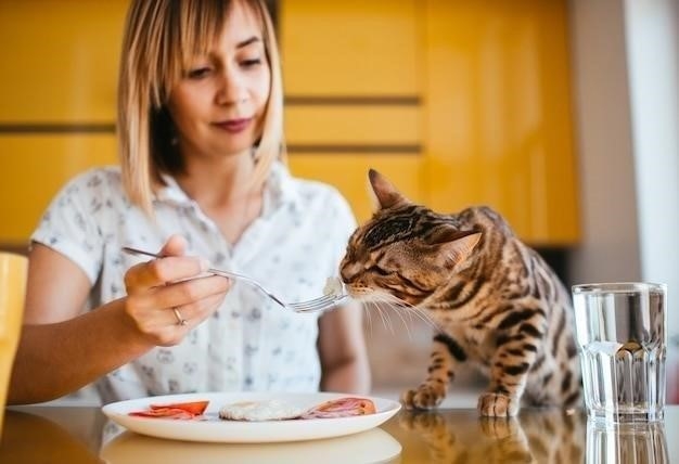 Причины рвоты у кошки едой каждый день