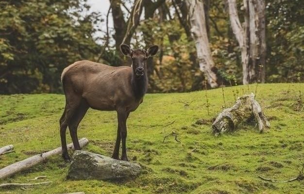 Проходимость по болотистой местности: корова против лошади